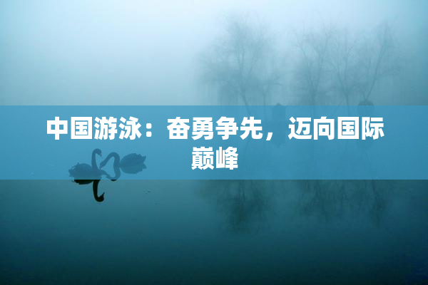 中国游泳：奋勇争先，迈向国际巅峰