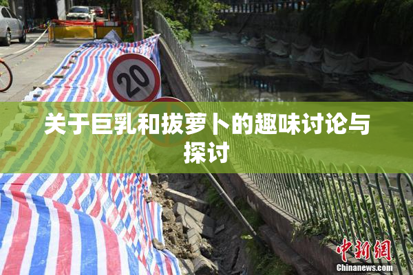 关于巨乳和拔萝卜的趣味讨论与探讨