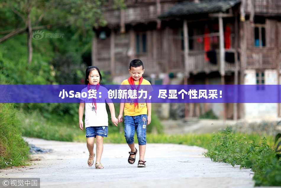小Sao货：创新魅力，尽显个性风采！