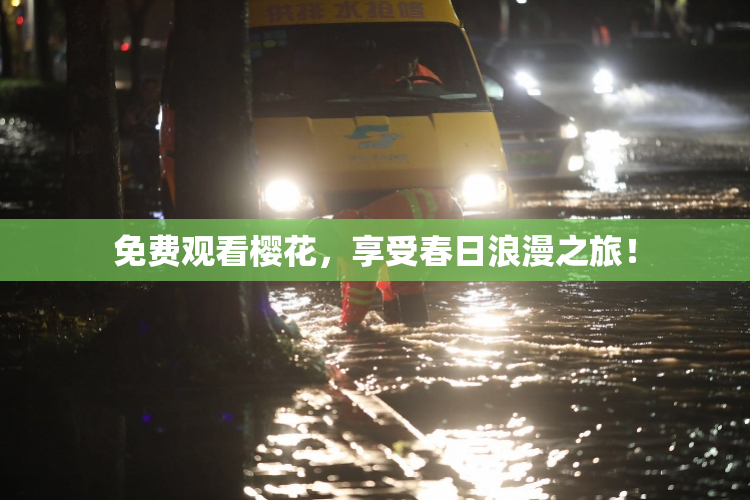 免费观看樱花，享受春日浪漫之旅！