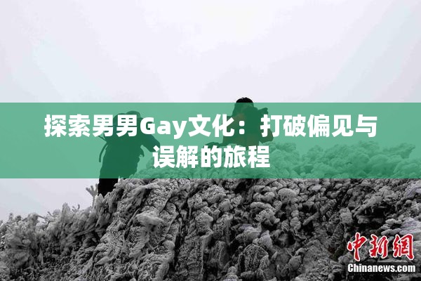 探索男男Gay文化：打破偏见与误解的旅程