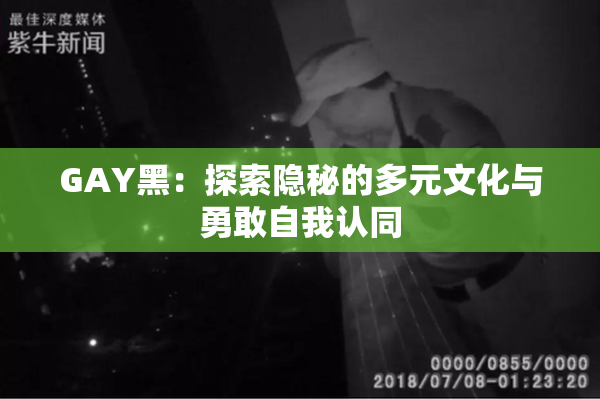 GAY黑：探索隐秘的多元文化与勇敢自我认同