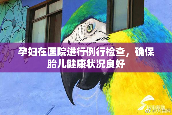 孕妇在医院进行例行检查，确保胎儿健康状况良好