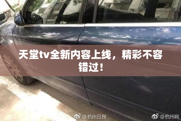 天堂tv全新内容上线，精彩不容错过！