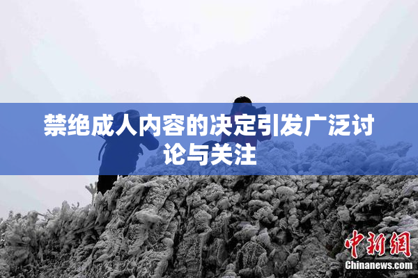 禁绝成人内容的决定引发广泛讨论与关注