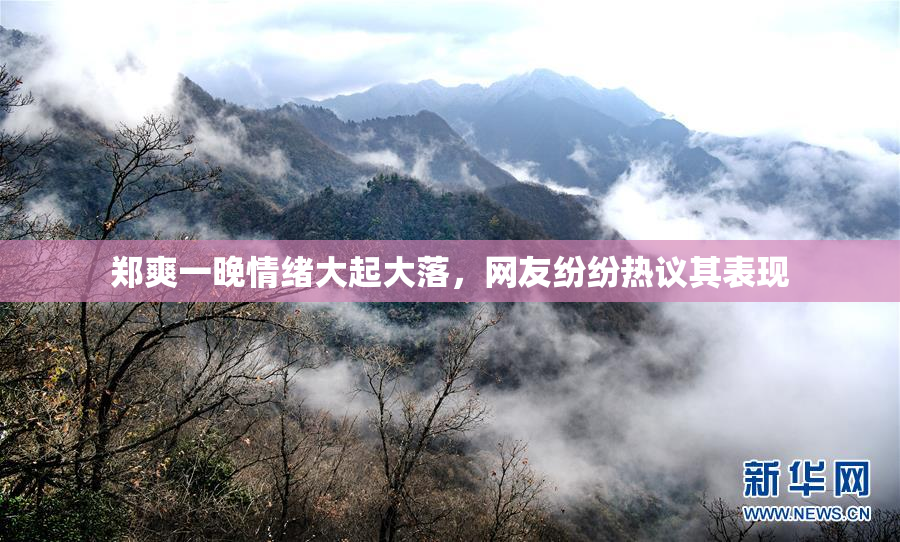 郑爽一晚情绪大起大落，网友纷纷热议其表现