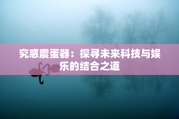 究惑震蛋器：探寻未来科技与娱乐的结合之道