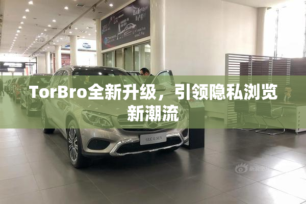 TorBro全新升级，引领隐私浏览新潮流