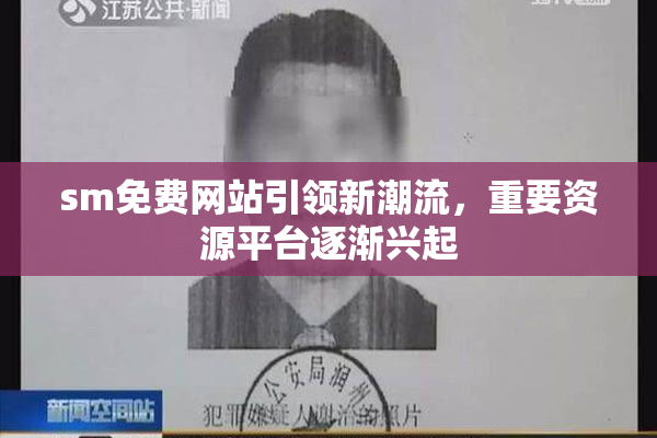 sm免费网站引领新潮流，重要资源平台逐渐兴起