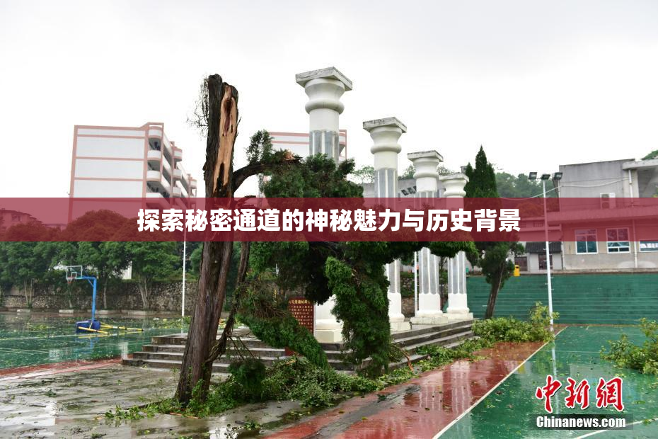 探索秘密通道的神秘魅力与历史背景
