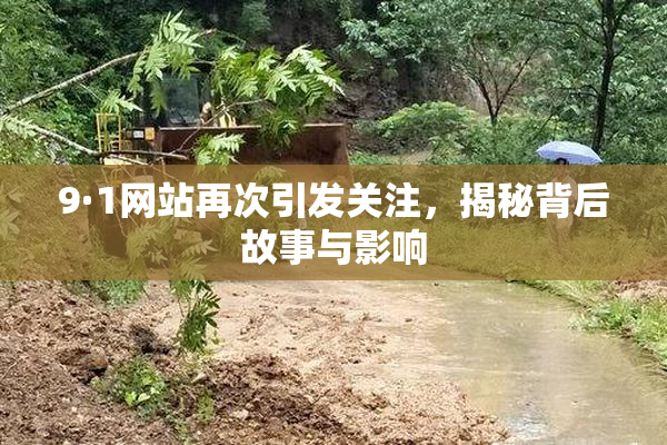 9·1网站再次引发关注，揭秘背后故事与影响