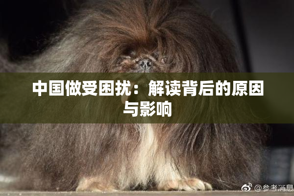 中国做受困扰：解读背后的原因与影响