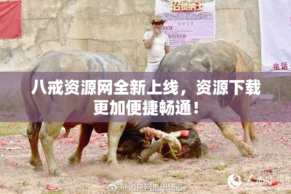 八戒资源网全新上线，资源下载更加便捷畅通！