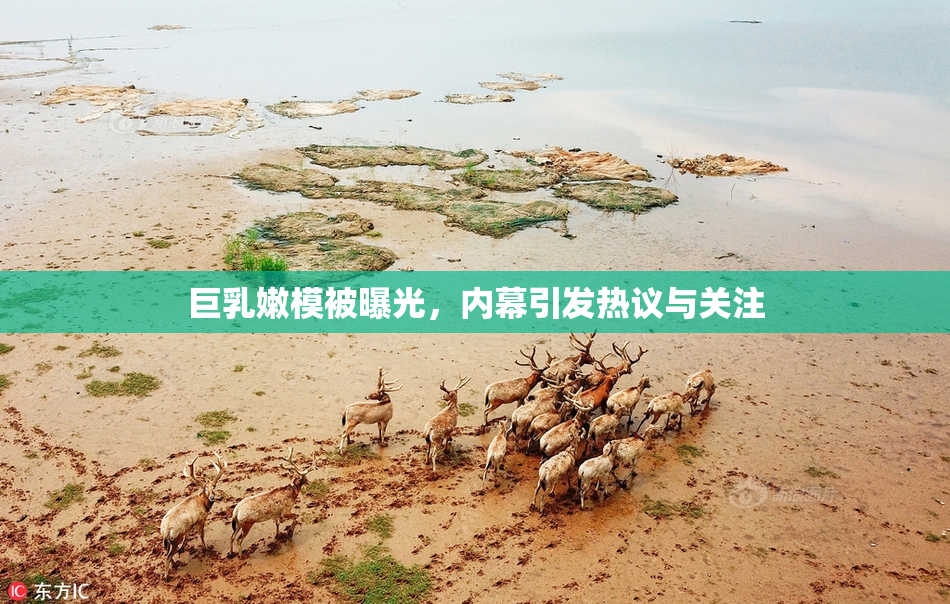 巨乳嫩模被曝光，内幕引发热议与关注