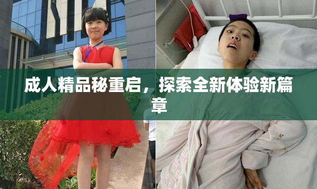 成人精品秘重启，探索全新体验新篇章