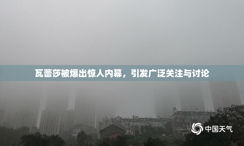 瓦蕾莎被爆出惊人内幕，引发广泛关注与讨论