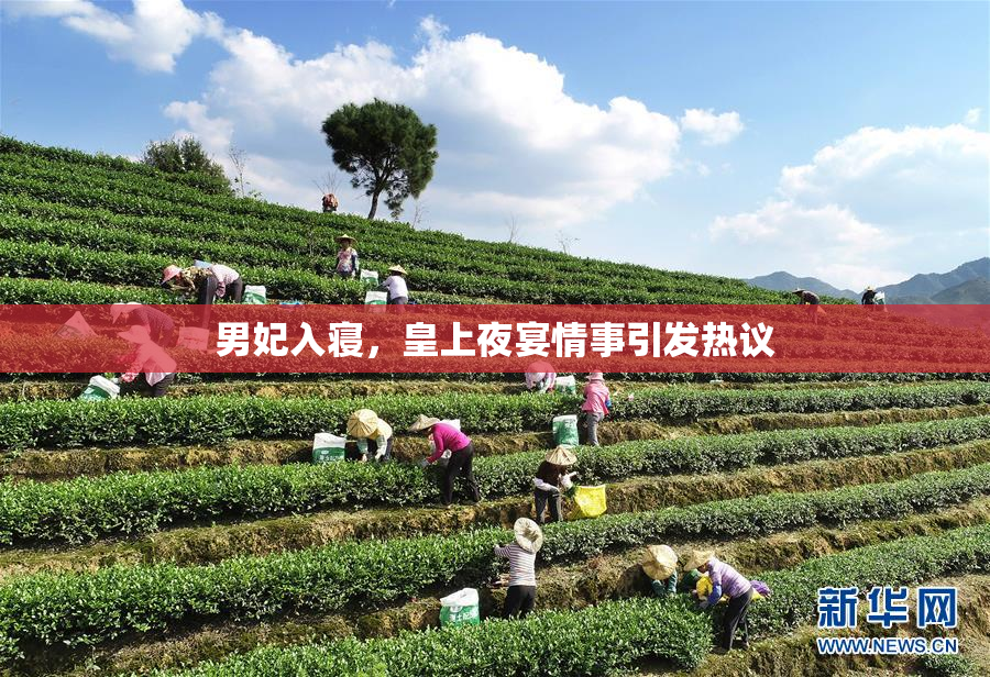 男妃入寝，皇上夜宴情事引发热议