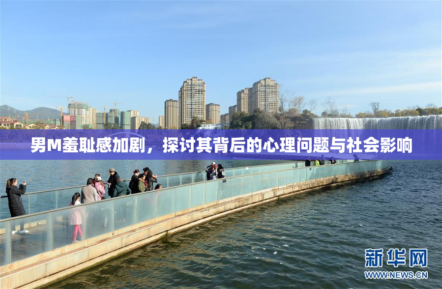 男M羞耻感加剧，探讨其背后的心理问题与社会影响