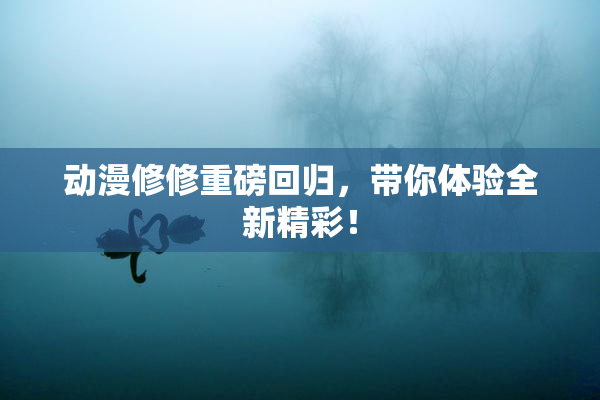动漫修修重磅回归，带你体验全新精彩！