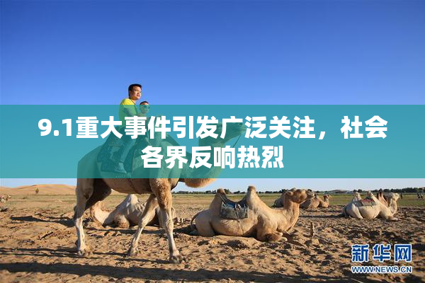 9.1重大事件引发广泛关注，社会各界反响热烈