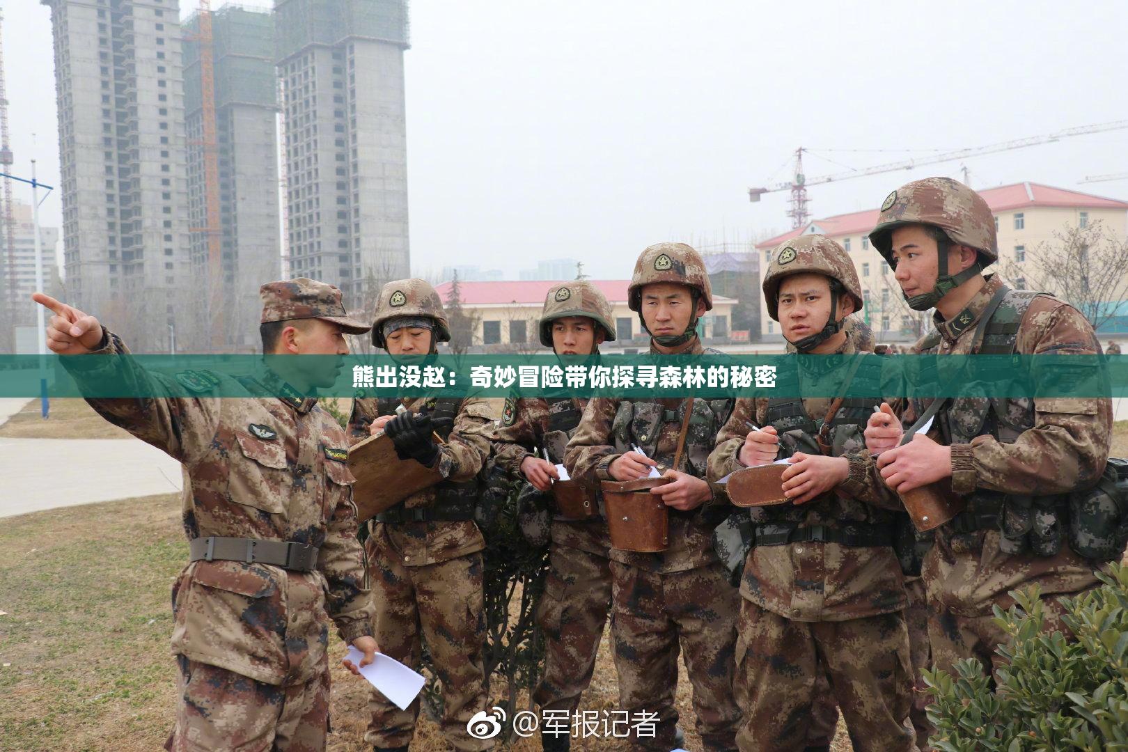 熊出没赵：奇妙冒险带你探寻森林的秘密