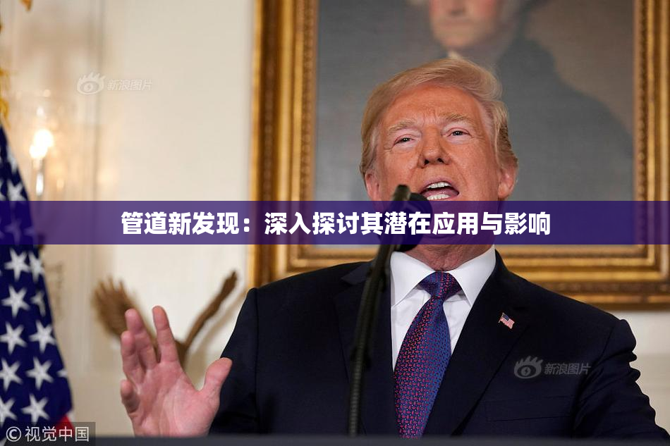 管道新发现：深入探讨其潜在应用与影响