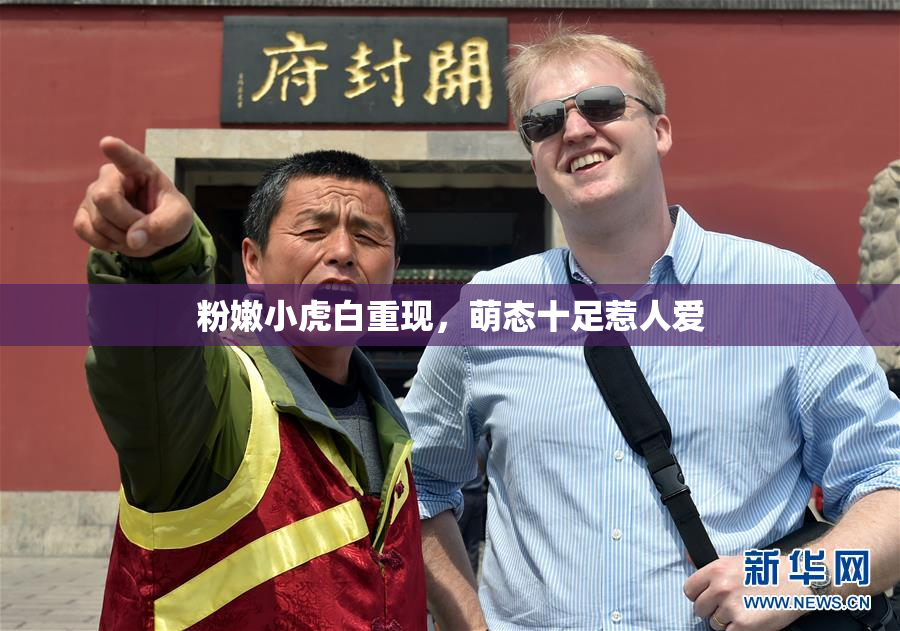 粉嫩小虎白重现，萌态十足惹人爱