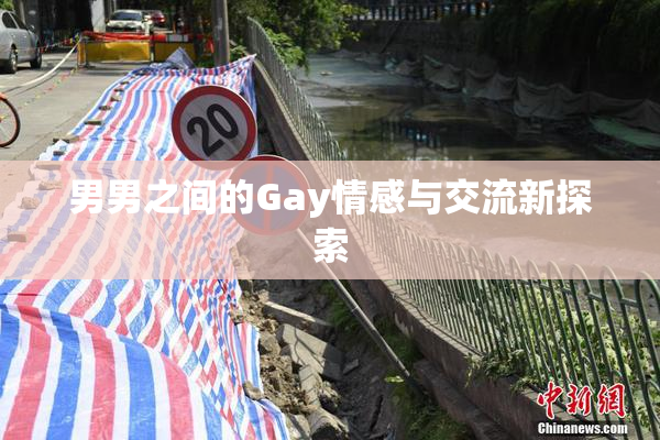 男男之间的Gay情感与交流新探索
