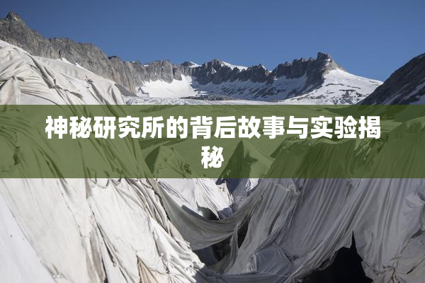 神秘研究所的背后故事与实验揭秘