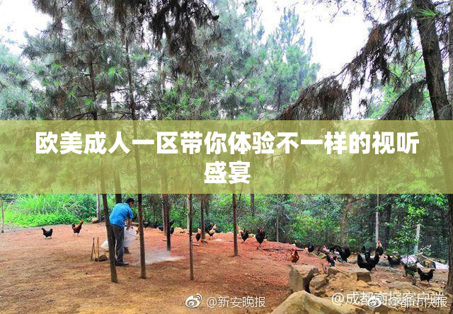 欧美成人一区带你体验不一样的视听盛宴