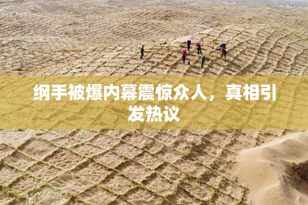纲手被爆内幕震惊众人，真相引发热议