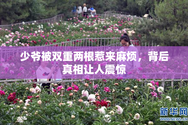 少爷被双重两根惹来麻烦，背后真相让人震惊
