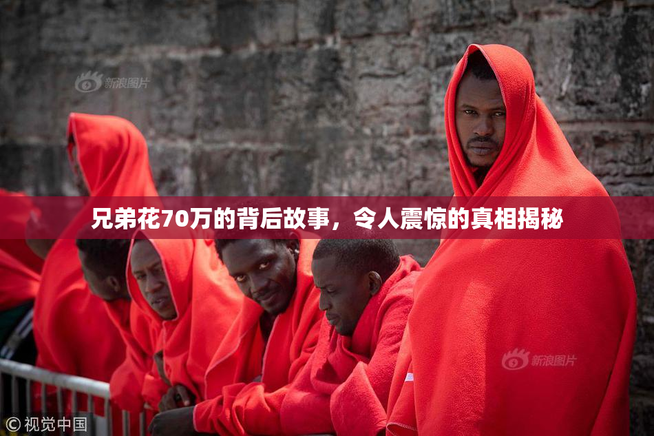 兄弟花70万的背后故事，令人震惊的真相揭秘
