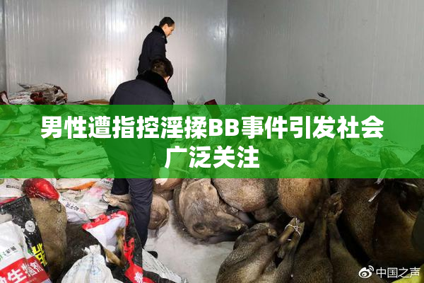男性遭指控淫揉BB事件引发社会广泛关注