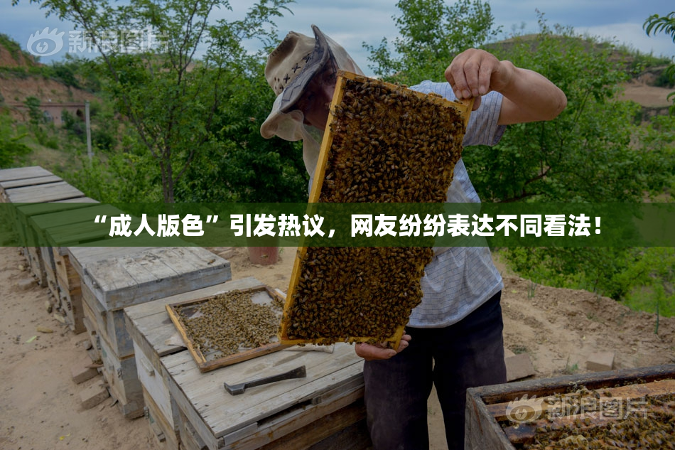 “成人版色”引发热议，网友纷纷表达不同看法！