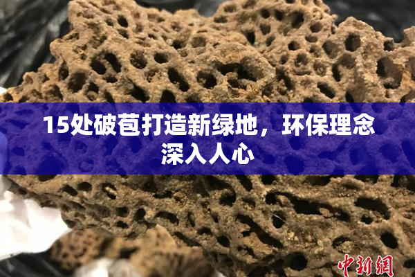 15处破苞打造新绿地，环保理念深入人心