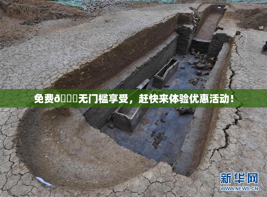 免费🔞无门槛享受，赶快来体验优惠活动！