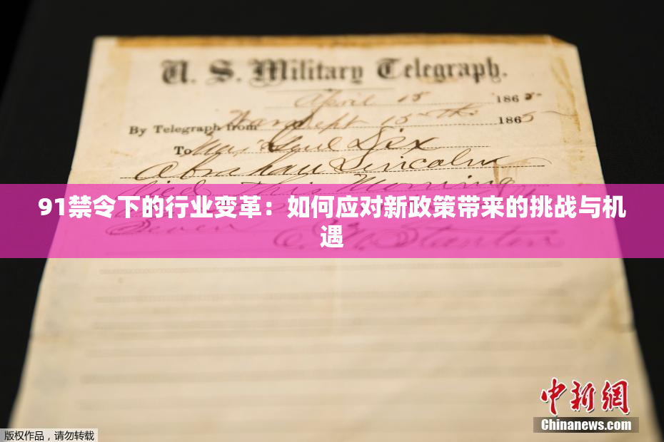 91禁令下的行业变革：如何应对新政策带来的挑战与机遇