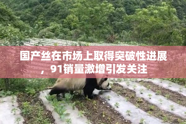 国产丝在市场上取得突破性进展，91销量激增引发关注