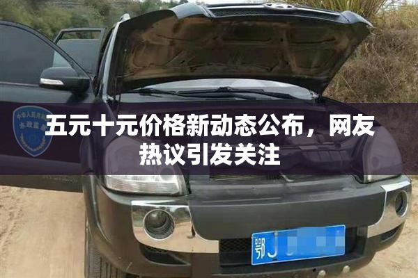五元十元价格新动态公布，网友热议引发关注