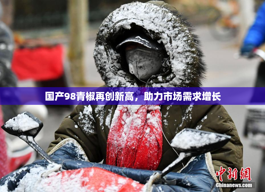 国产98青椒再创新高，助力市场需求增长