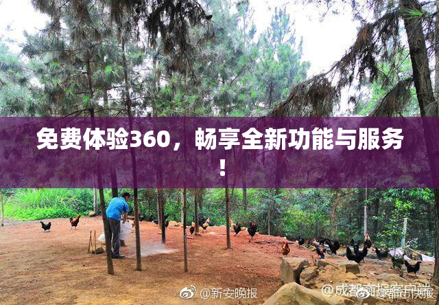 免费体验360，畅享全新功能与服务！