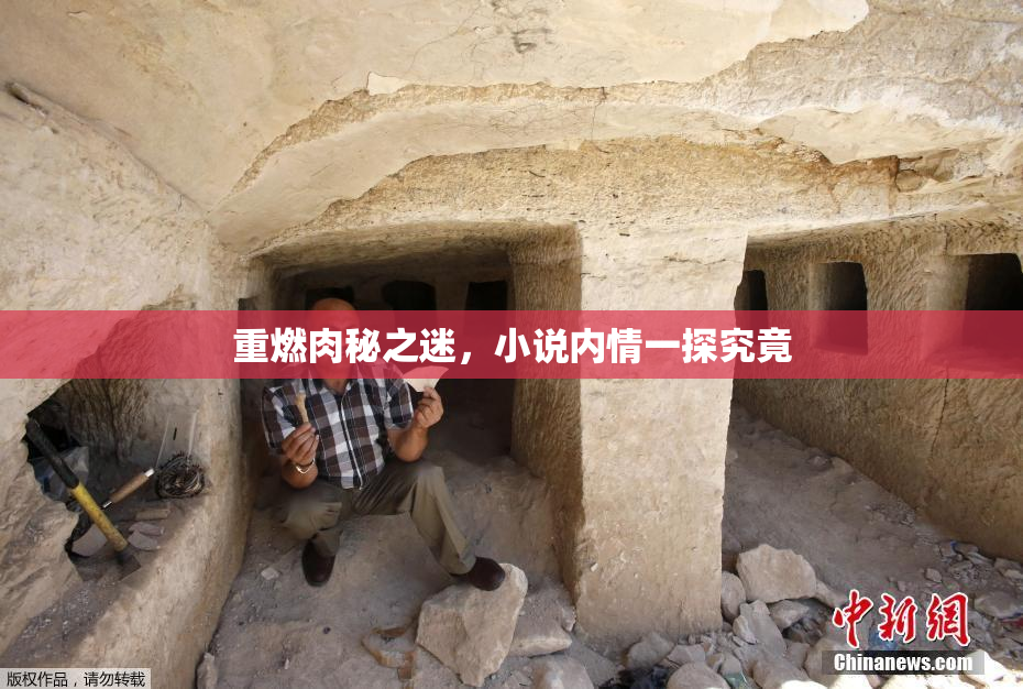 重燃肉秘之迷，小说内情一探究竟