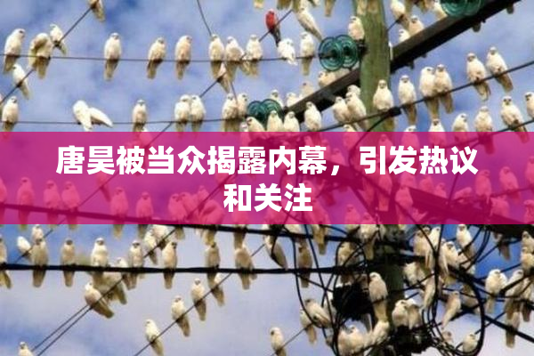 唐昊被当众揭露内幕，引发热议和关注