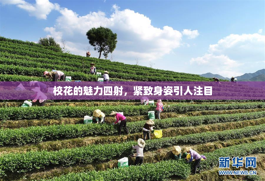 校花的魅力四射，紧致身姿引人注目