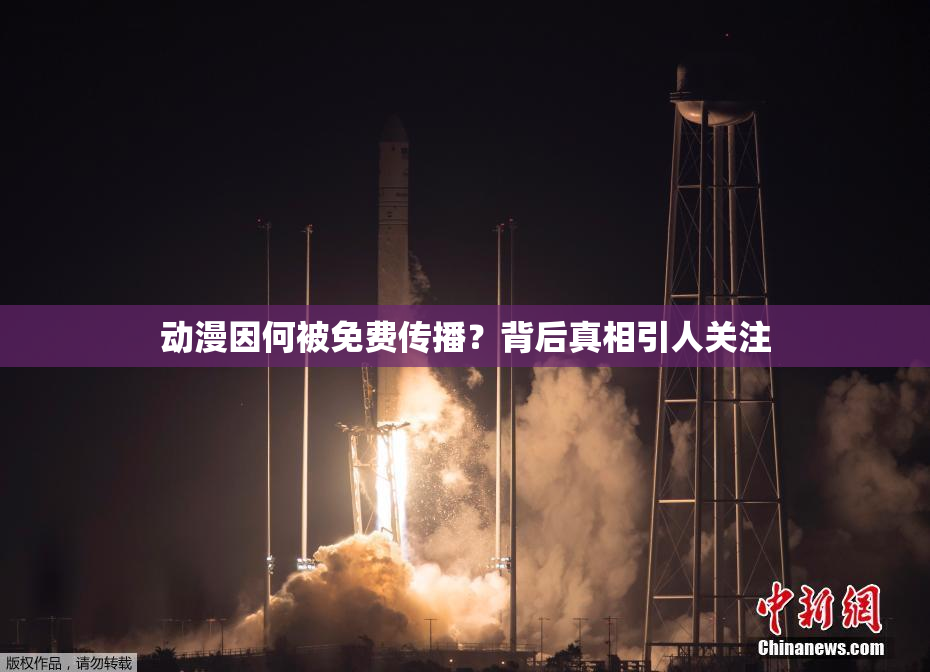 动漫因何被免费传播？背后真相引人关注