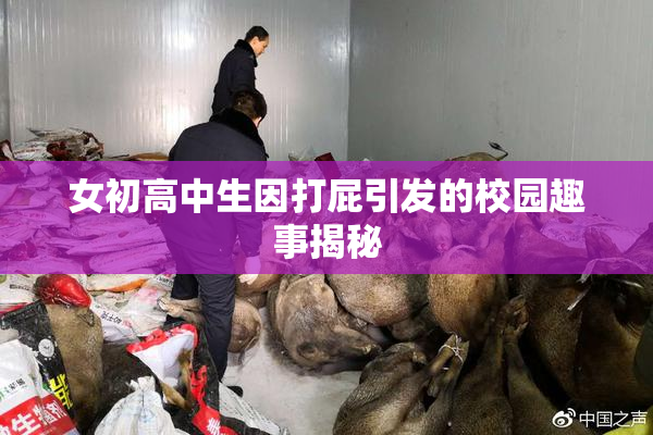 女初高中生因打屁引发的校园趣事揭秘