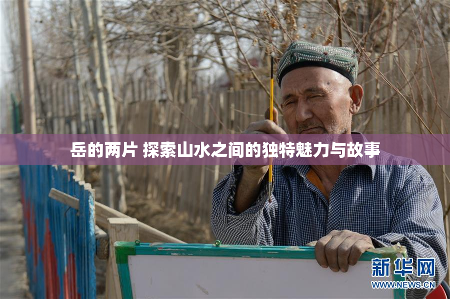 岳的两片 探索山水之间的独特魅力与故事