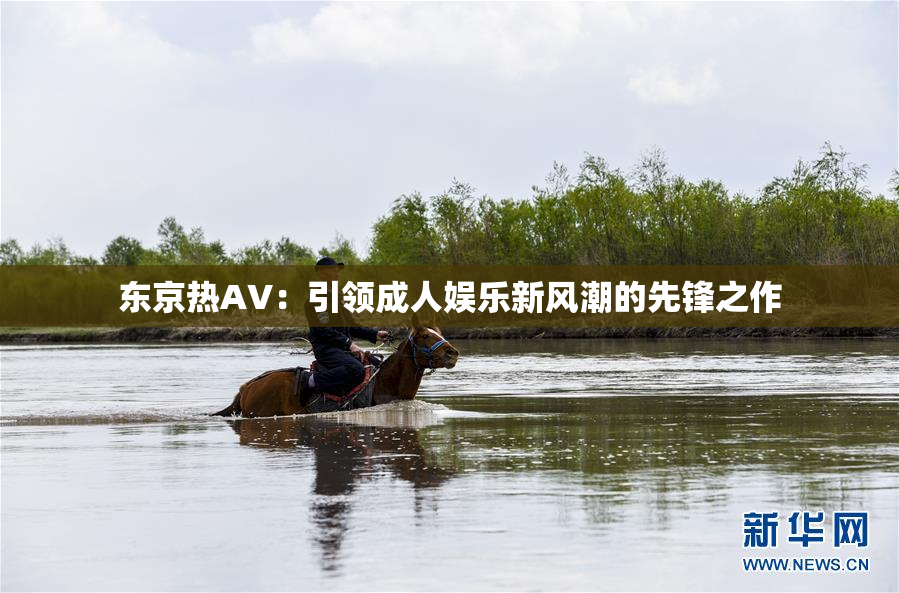 东京热AV：引领成人娱乐新风潮的先锋之作