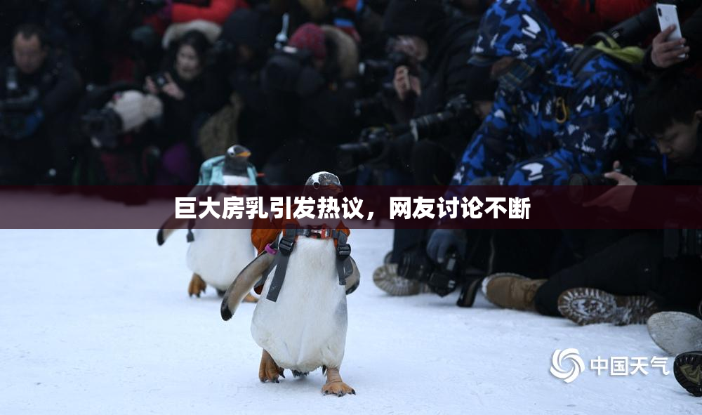 巨大房乳引发热议，网友讨论不断